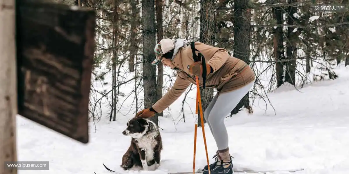 ⚽️ 赛事激情，一触即发！
